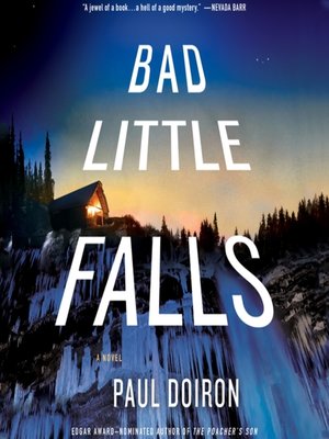 cover image of Bad Little Falls